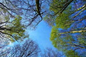 これだけは避けたい添加物一覧を知って健康を守るには？