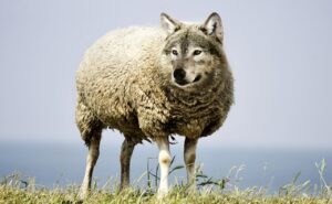 危険な添加物を避けるために知っておくべきことは？