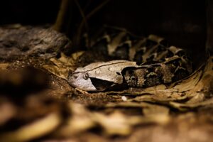 危険な食品添加物を見分けるためのチェックポイントは？