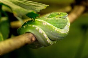 妊婦が知っておくべき添加物の影響とは？