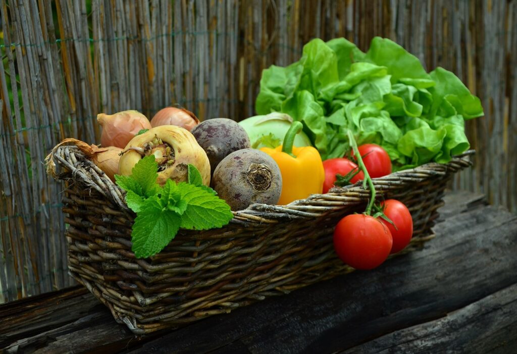オーガニック野菜の効果は健康にどのように影響するのか？