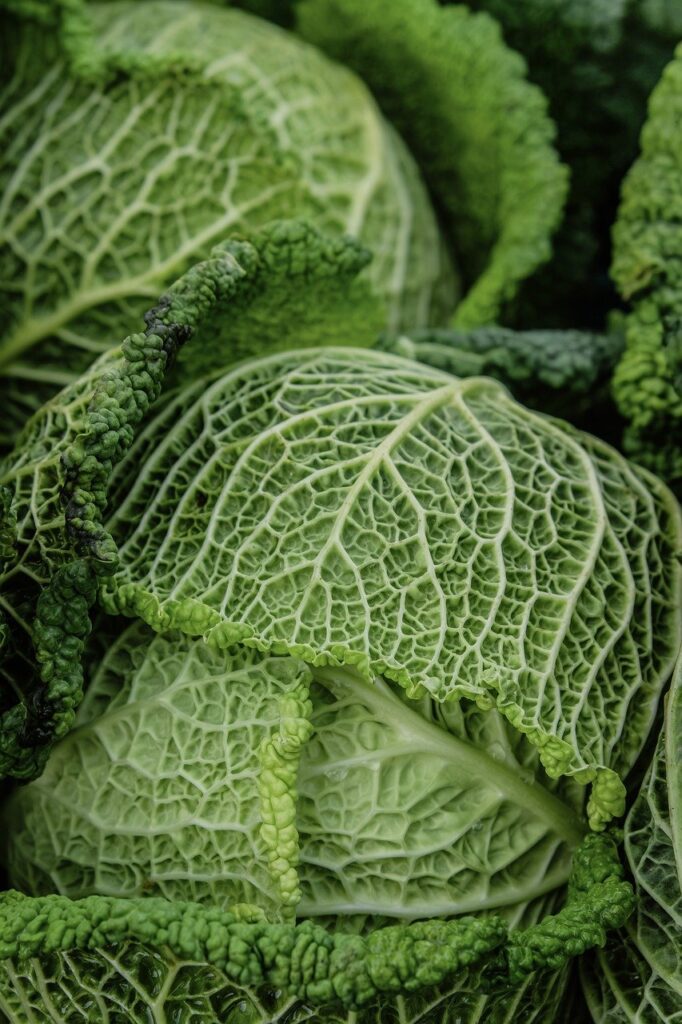 オーガニック冬野菜を使った簡単レシピは？