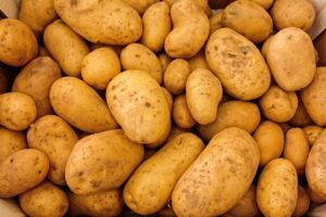 オーガニック夏野菜の保存方法はどうすれば良い？