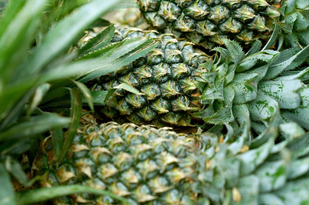 オーガニック食材を使ったつわり対策におすすめのレシピは？