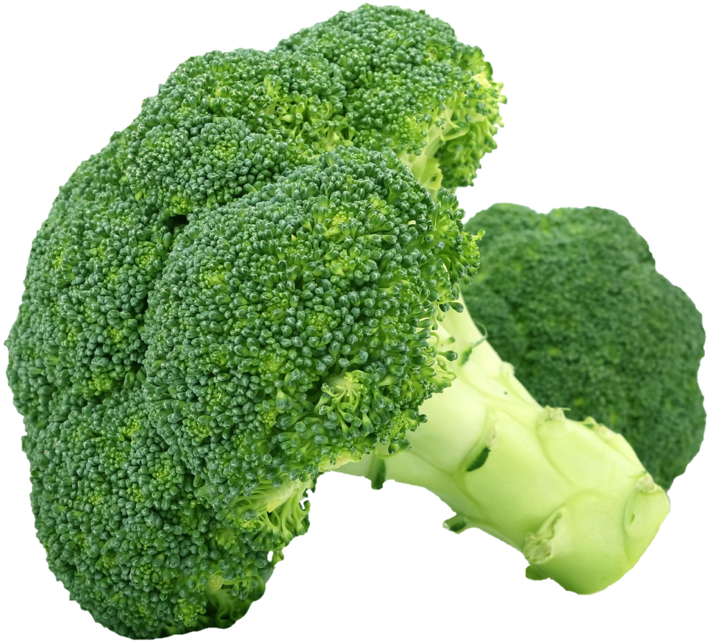 オーガニック夏野菜の献立はどう作る？
