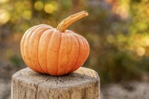 オーガニック秋野菜を使った献立のアイデアは？