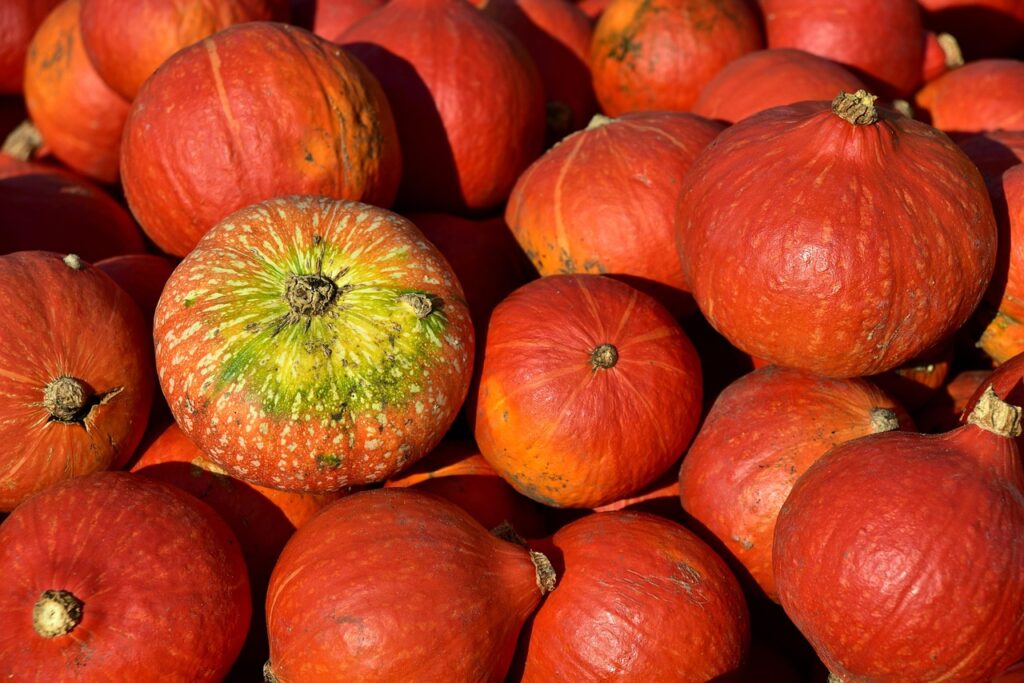 有機野菜を使ったスープの簡単レシピはこれで決まり？