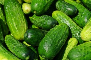オーガニック食品のサブスクリプションは本当におすすめ？