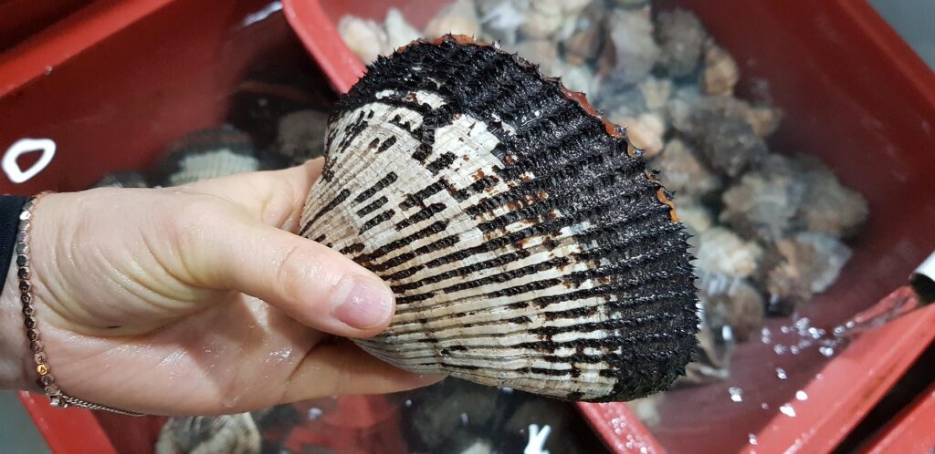 管理栄養士が教える無添加食品の選び方は？